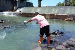 Kualitas Air di Sembilan Sungai di Kulonprogo Diuji