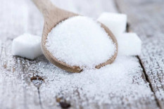 Impor Gula dan Bawang Putih Tiba Seusai Lebaran