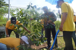 HARI AIR SEDUNIA: PDAM Sleman Tanam 1.000 Pohon di Lereng Merapi