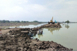 Jokowi Minta BNPB dan PUPR Identifikasi Dampak Kerusakan Banjir Demak