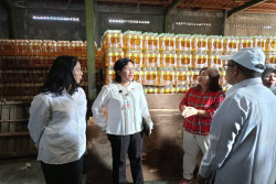 Jelang Lebaran, Stok Minyak Goreng Melimpah, Gula Pasir Banyak Dicari