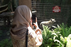 Sambut Ribuan Wisatawan di Libur Lebaran 2024, GL Zoo Tambah Koleksi Satwa