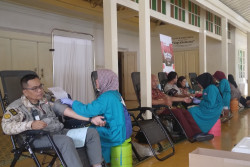 Peringatan HKB DIY 2024, Sukarelawan dan ASN Ikut Aksi Donor Darah