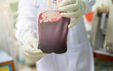 Info Stok Hari Ini dan Jadwal Donor Darah di DIY Besok 4 Mei 2024
