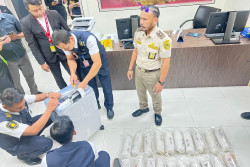 Penyelundupan 80 Ribu Ekor Benih Lobster Tujuan Malaysia Berhasil Digagalkan di Bandara YIA Kulonprogo