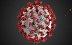 Singapura Diserang Virus Covid-19 Varian KP.1 dan KP.2, Indonesia Waspada