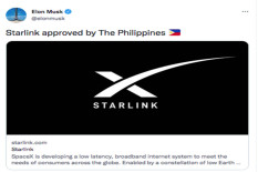 Starlink Beroperasi di Indonesia, Pakar Ingatkan Pemerintah soal Resiko yang Bisa Muncul