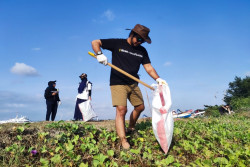 Inisiatif EIGER Adventure, SayaPilihBumi, dan SeaSoldier Berhasil Kumpulkan Berkarung-karung Sampah Plastik di Pantai Sanur
