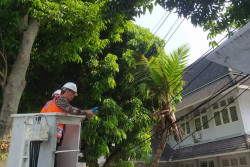 Bersihkan Kabel-Kabel Jadi Cara Pemkot Jogja Hamemayu Hayuning Bawono