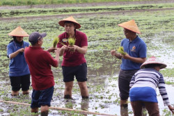 Sleman Kembangkan Pariwisata Berbasis Komunitas di Wilayah Barat