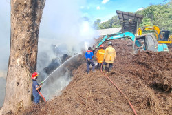 Gudang Penyimpanan Limbah Kayu Putih di Tahura Bunder Gunungkidul Terbakar