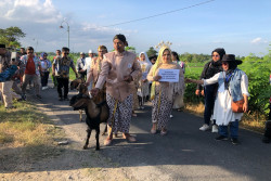 Unik, 4 Pasangan Pengantin di Bantul Menikah di Peternakan Kambing