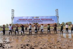 Program Ketahanan Pangan, Lahan Wedi Kengser di Bantul Mulai Ditanami Padi