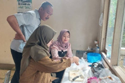 Kandungan Formalin pada Ikan Masih Ditemukan di Kulonprogo, Ini Kata DKP