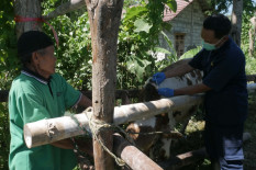 Pencurian Ternak di Kulonprogo Marak Menjelang Iduladha, Ini yang Dilakukan Polres Kulonprogo