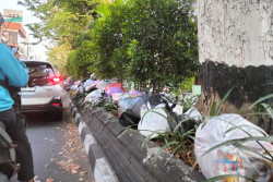 Viral Tumpukan Sampah di Tengah Jalan Gejayan, Rusak Tanaman Hias