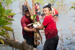Kotta GO Yogyakarta Rayakan Anniversary Ke-3 Dengan Aksi Lingkungan Bertajuk Ngatur Nature
