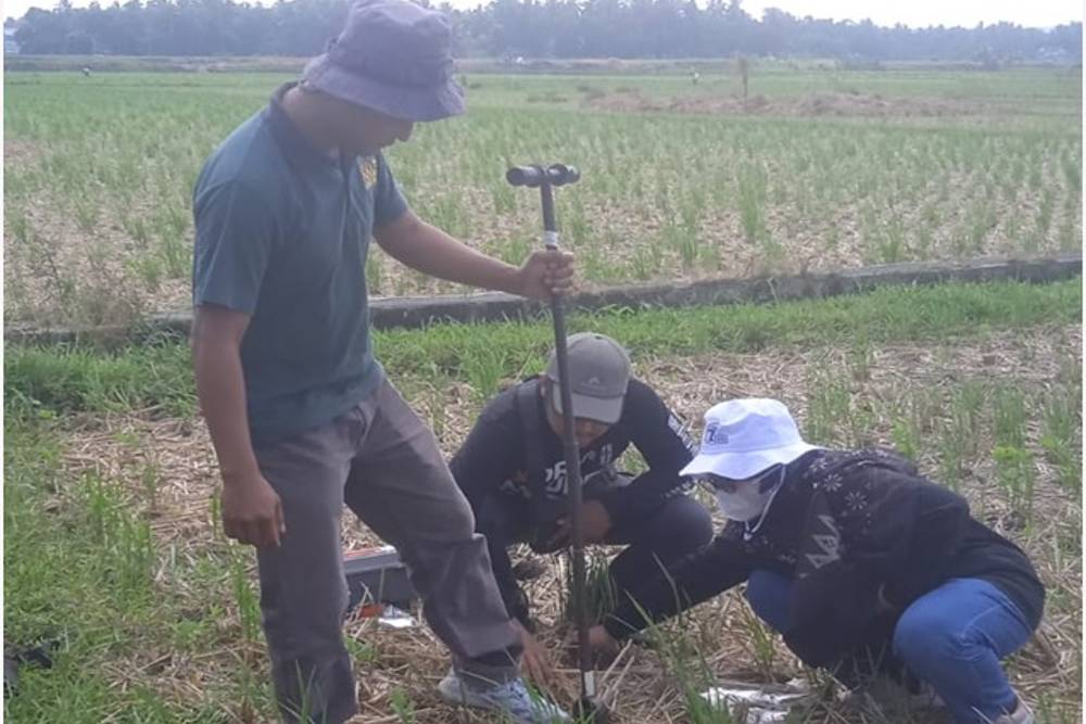 Uji Kerusakan Lahan Pertanian di Kulonprogo, Pemkab Ambil Sampel di 29 Titik