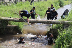 Memperingati Hari Lingkungan Hidup Internasional 2024, PT PLN (Persero) UIP JBTB Gelar Employee Green Involvement Tahun 2024