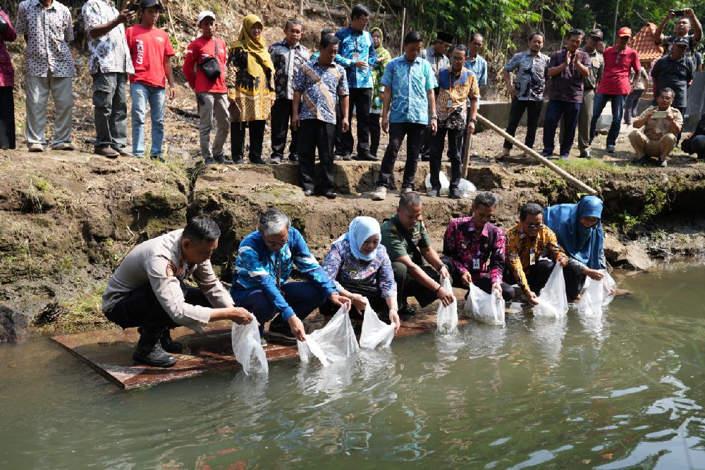 KPP Salurkan Bantuan Senilai Rp6,45 Miliar untuk 31 Kelompok Budi Daya Ikan di Sleman