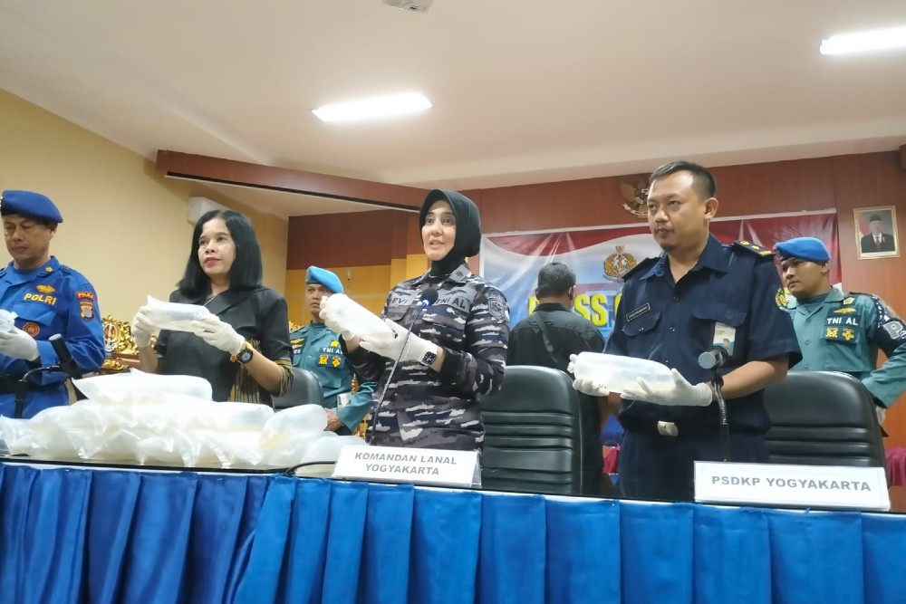 Satgas SFQR TNI AL Jogja Gerebek Penampungan Benih Lobster Ilegal di Karangwuni Kulonprogo