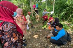 Pembebasan Lahan Tol Jogja-YIA Kulonprogo: Belum Ada Sanggahan Warga, Appraisal  Segera Dilakukan