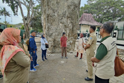 Geopark Jogja Siap Lakukan Pra Verifikasi untuk Pengusulan sebagai Geopark Nasional