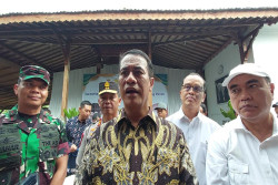 Program Food Estate Bisa Dibiayai dari APBN Maupun Investor Swasta