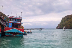 Harga Ikan Tuna di Sadeng Anjlok Jadi Rp4.000 Per Kg, Kerugian Nelayan Tembus Rp500 Juta