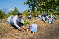 Pelita Air Bersama Pertamina Tanam 10 Ribu Pohon di Hutan Ngawi Jawa Timur