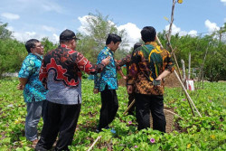 Target Pembentukan 20 Kampung Iklim di Kulonprogo Meleset