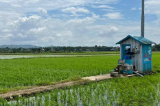 Pemkab Bantul Dorong Inovasi untuk Mendorong Produktivitas Pertanian