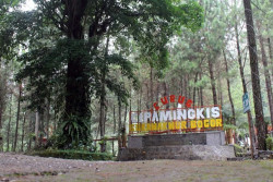 Bogor Punya Banyak Wisata Alam yang Layak Dikunjungi, Ini Daftarnya