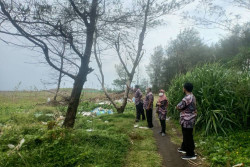 Cegah Abrasi Pesisir Selatan Kulonprogo, DLH Tanam 500 Pohon Anggur Laut