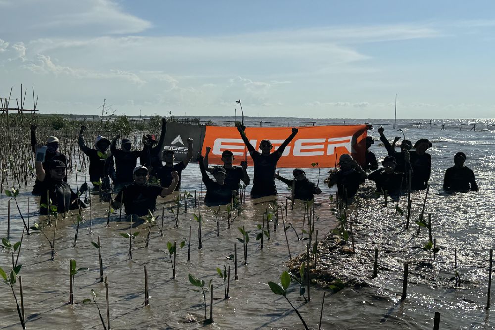 EIGER Adventure Lanjutkan Konservasi 10.000 Mangrove untuk Pesisir Karawang Utara