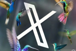 X Kembangkan Fitur Edit di Direct Message
