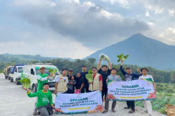 Nglarisi Petani, Baznas Jogja Borong 1 Ton Sayur dan Dibagikan Cuma-Cuma