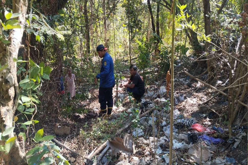 Damkarmat Bantul Gagal Buru Ular Sanca yang Makan Ayam di Piyungan Bantul, Warga Diminta Waspada