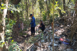 Damkarmat Bantul Gagal Buru Ular Sanca yang Makan Ayam di Piyungan Bantul, Warga Diminta Waspada