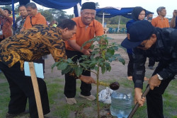 Komitmen Lestarikan Lingkungan, Aksi Tanam Pohon Digelar di Bulaksawah