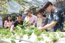 Mahasiswa Jepang Kunjungi Kampung Sayur Bausasran Jogja