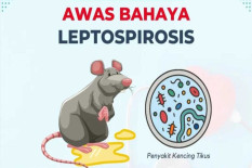 1 Orang Meninggal dari 6 Kasus Leptospirosis di Jogja Tahun Ini, Masyarakat Diminta Waspada