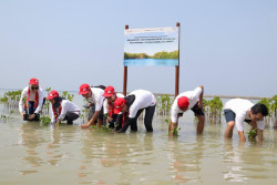 Tanam Ribuan Pohon, AHM Perkuat Upaya Penyerapan Karbon untuk Mitigasi Perubahan Iklim