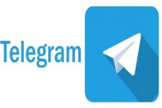 Pengunduh Aplikasi Telegram di Prancis dan AS Melonjak Usai Penangkapan Pavel Durov