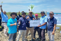 Cegah Abrasi Pantai, PLN lakukan Rehabilitasi Mangrove di Kaliwlingi Brebes