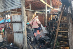 Dapur dan Kandang Terbakar, Satu Ekor Kambing Mati Terpanggang