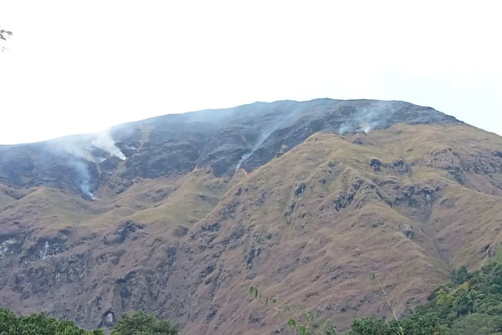 Bukit Dara di Kaki Gunung Rinjani Kebakaran