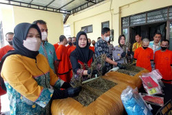 Bongkar Peredaran Ganja Jaringan Jogja-Medan-Aceh, Paket Dikirim Pakai Jasa Ekspedisi Kecil