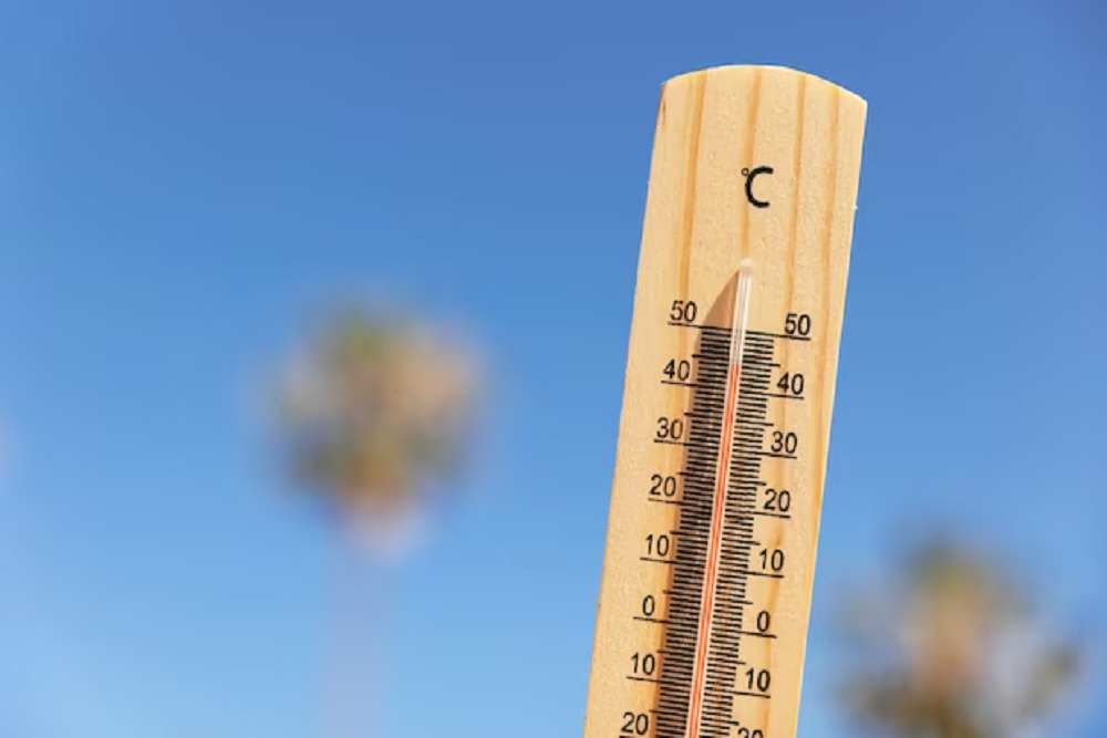 Jepang Dilanda Gelombang Panas, Suhu Tertinggi Mencapai 37,8 Derajat Celsius