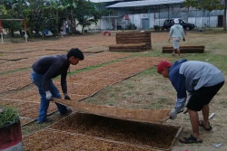 Jaga Kualitas Tembakau Murni, Apti Temanggung Minta Petani Tidak Mencampur Gula